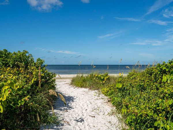 Fort Myers Home 1011378