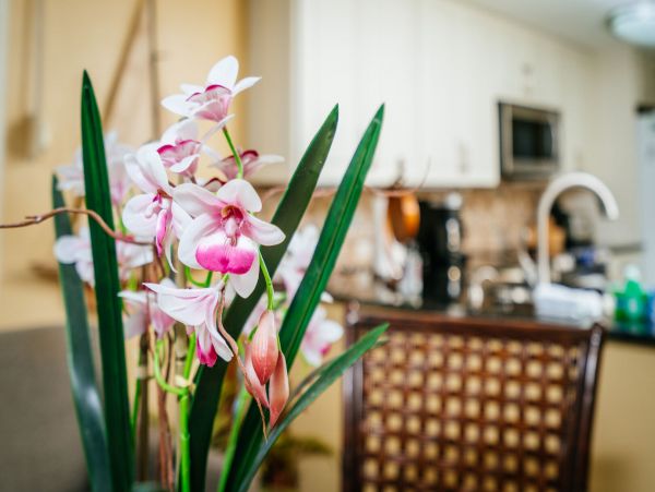 Fort Myers Condo 1011380