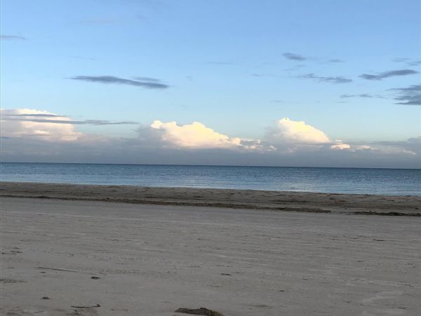 Fort Myers Home 1011382