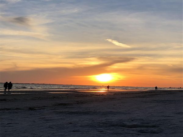 Fort Myers Home 1011382