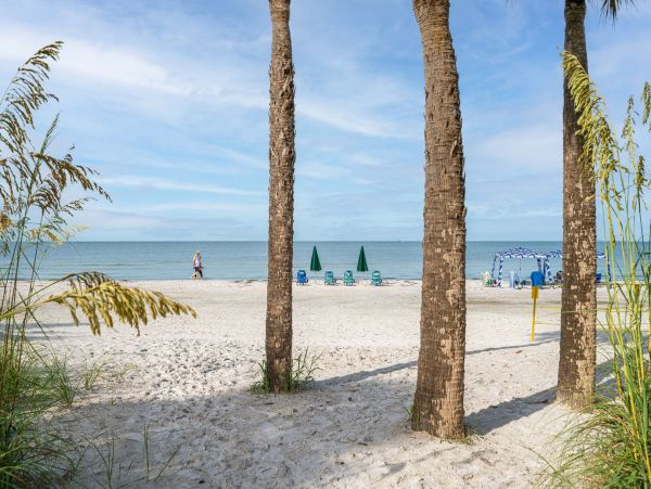 Fort Myers Condo 1011394
