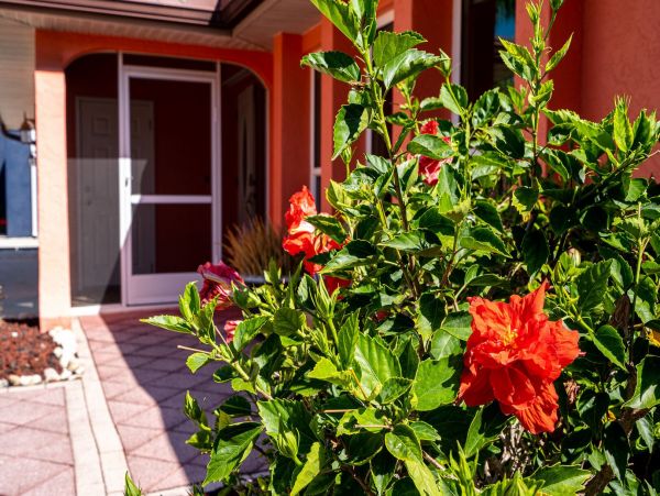 Fort Myers Home 1011411