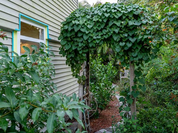 Fort Myers Home 1011429