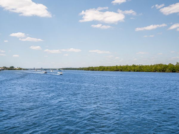 Fort Myers Condo 1011474