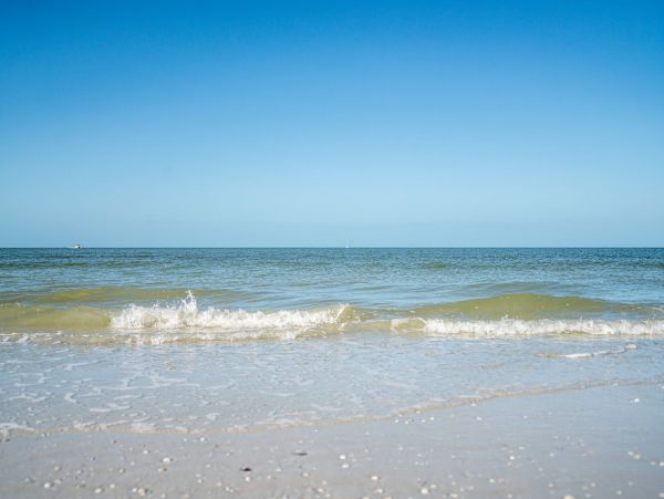 Fort Myers Condo 1011476