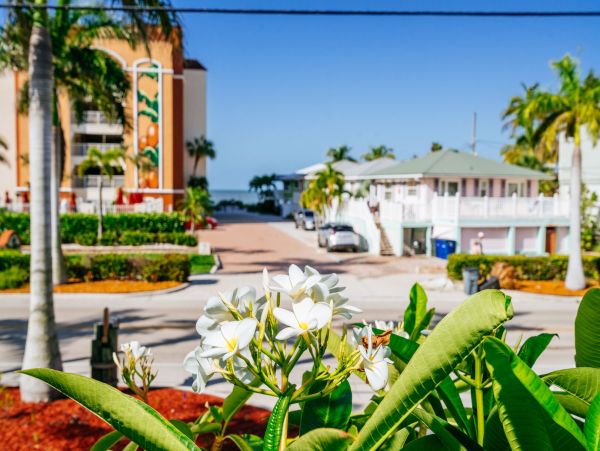 Fort Myers Condo 1011476