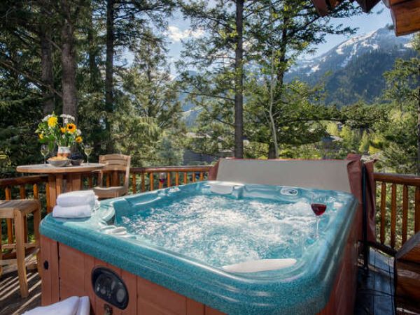Teton Village 2 Bedroom Luxury Cabin with Hot Tub