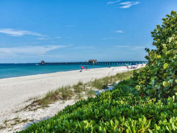 Naples Condo 1011486
