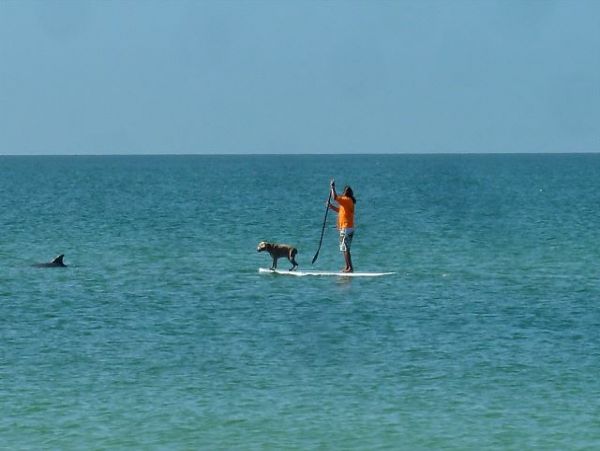 Indian Shores Ai Condo 1011506