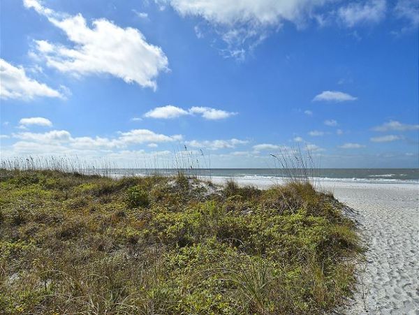 Indian Rocks Indian Shores Condo 1011513