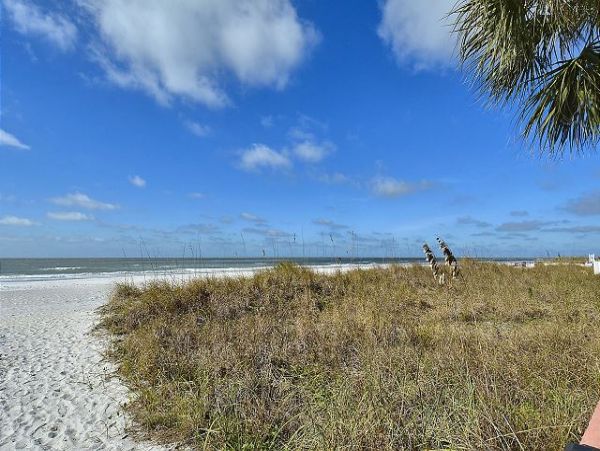Indian Rocks Indian Shores Condo 1011513