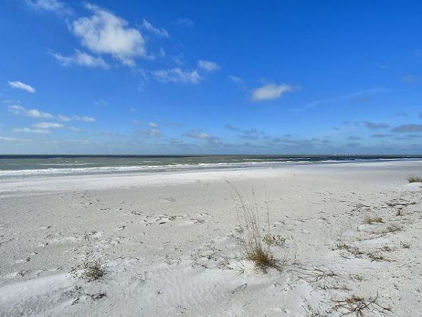 Indian Rocks Indian Shores Condo 1011513