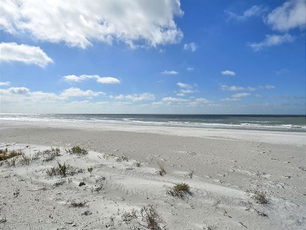 Indian Rocks Indian Shores Condo 1011513