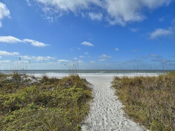 Indian Rocks Indian Shores Condo 1011513