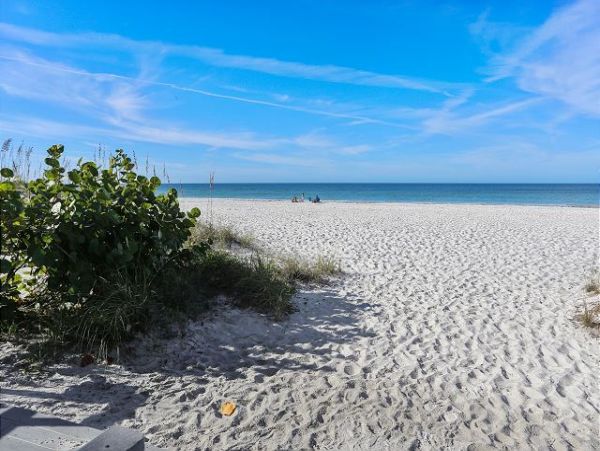Indian Shores Ai Condo 1011523