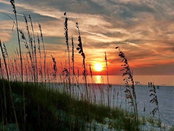 Indian Shores Ai Condo 1011563