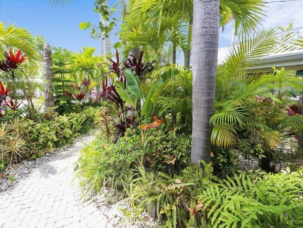 Indian Shores Ai Home 1011578