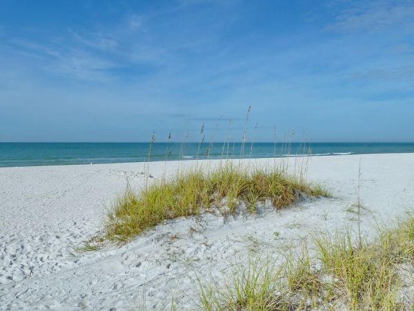 North Reddington  Beach New Arrival Great Condo