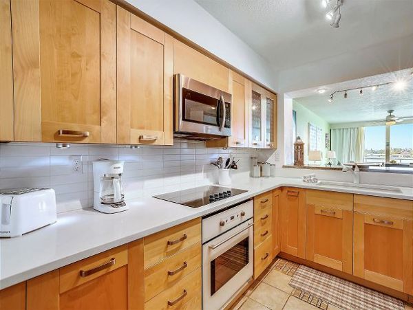 St. Petersburg Condo 1011627