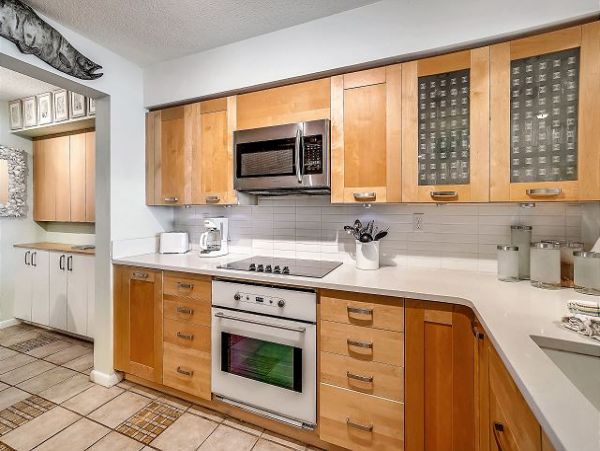 St. Petersburg Condo 1011627