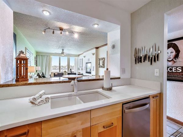 St. Petersburg Condo 1011627
