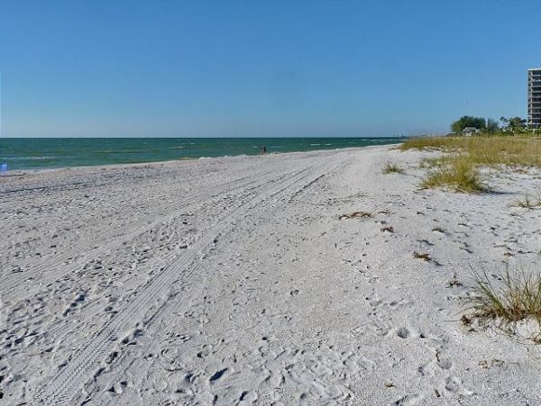 Treasure Island Condo 1011629