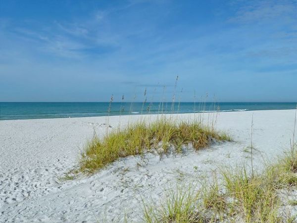 Treasure Island Condo 1011629