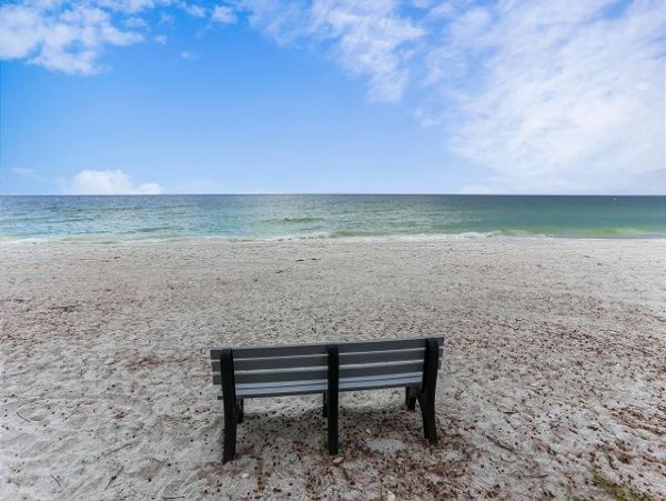 Treasure Island Condo 1011648