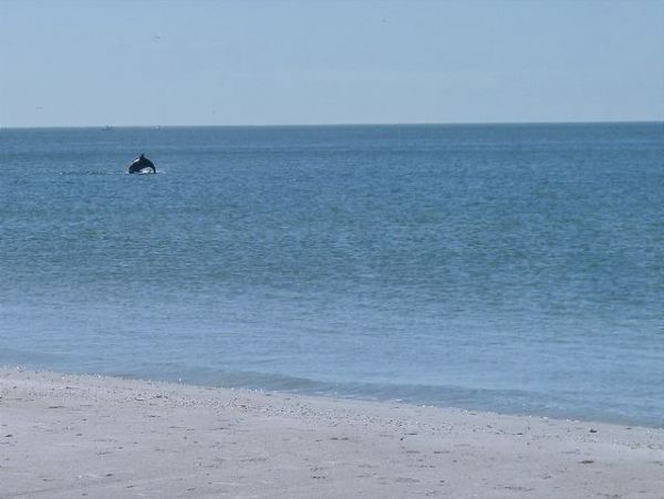 Luxury Sunset Beach Vacation Rentals Treasure Island Beachfront Home by Emerald Kite