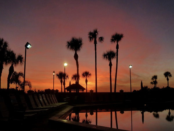 Treasure Island Top Floor Condo Short Walk to the Beach