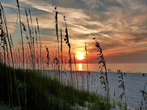 Treasure Island Top Floor Condo Short Walk to the Beach