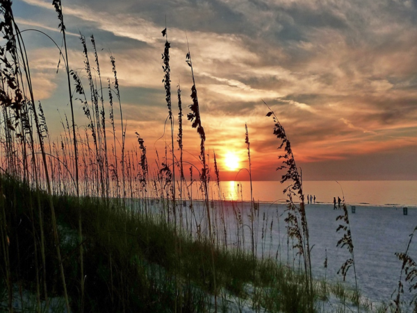 Treasure Island Vacation Condo Beach, Pool Great Location