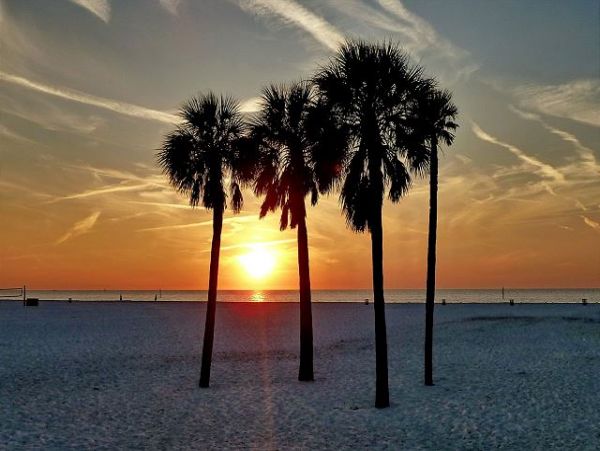 Treasure Island Condo 1011684