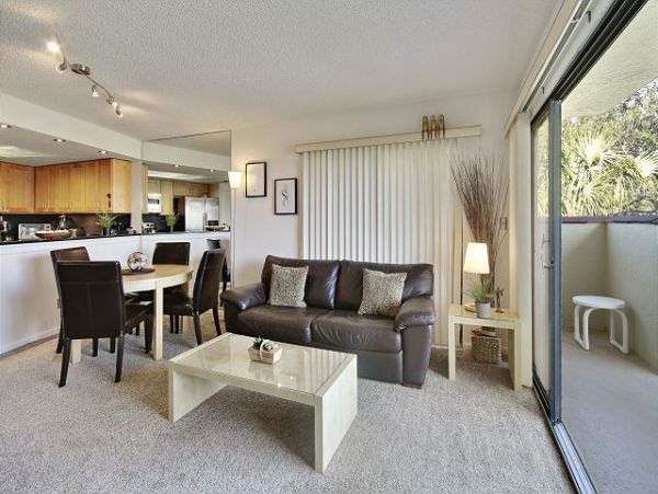 Treasure Island Condo 1011689
