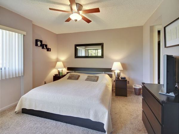 Treasure Island Condo 1011689