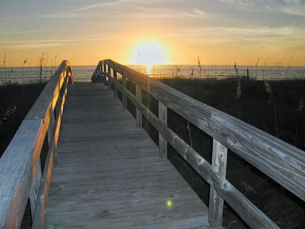 Treasure Island Condo 1011689