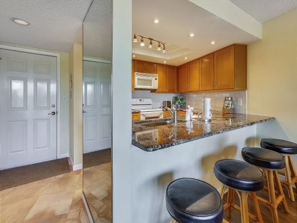 Treasure Island Condo 1011694