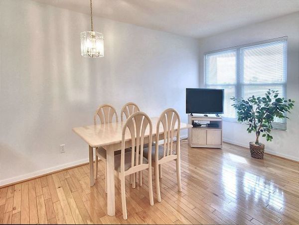 Treasure Island Condo 1011721