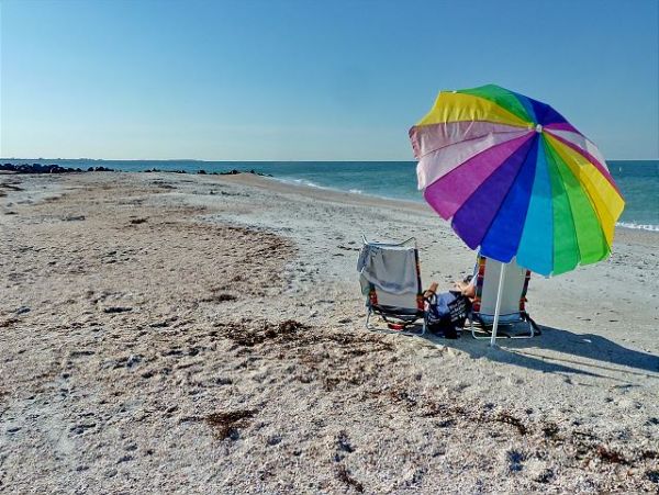 Treasure Island Condo 1011724