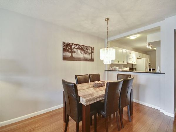 Treasure Island Condo 1011736
