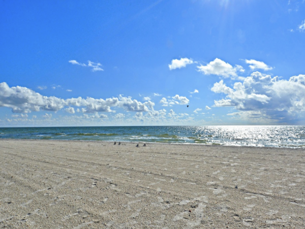 Best of Both Bay & Beach in Treasure Island Beautiful Condo