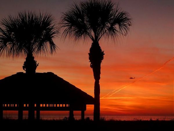 Treasure Island Condo 1011762