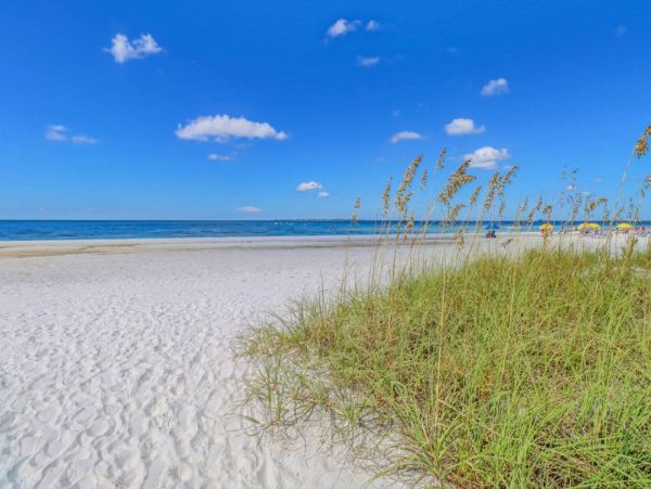 Fort Myers Condo 1011849