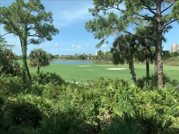 Bonita Springs Condo 1011862