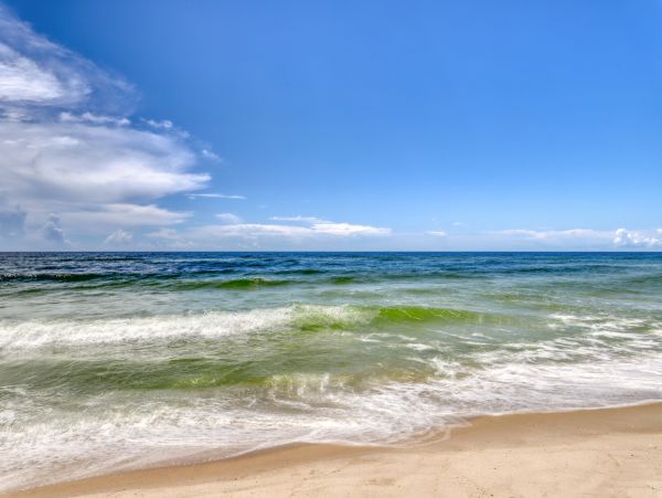 Alabama Beach Areas Home 1011933
