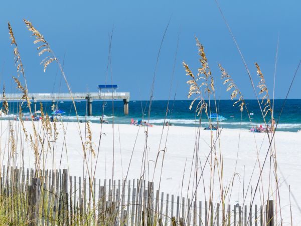 Alabama Beach Areas Home 1011934
