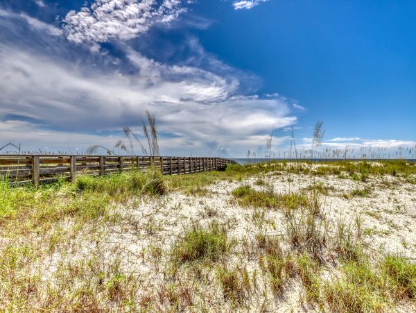 Alabama Beach Areas Home 1011937