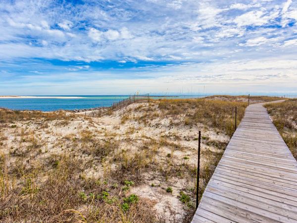 Alabama Beach Areas Home 1011965