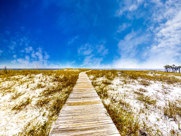 Gulf-front 2 Bedroom Vacation Condo with Great Amenities