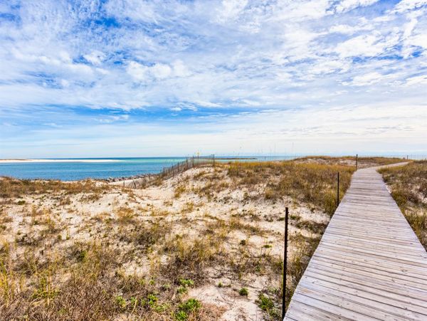 Alabama Beach Areas Home 1011970